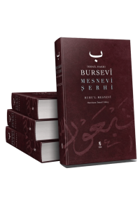 Mesnevi Şerhi Mesnevi Şerhi
